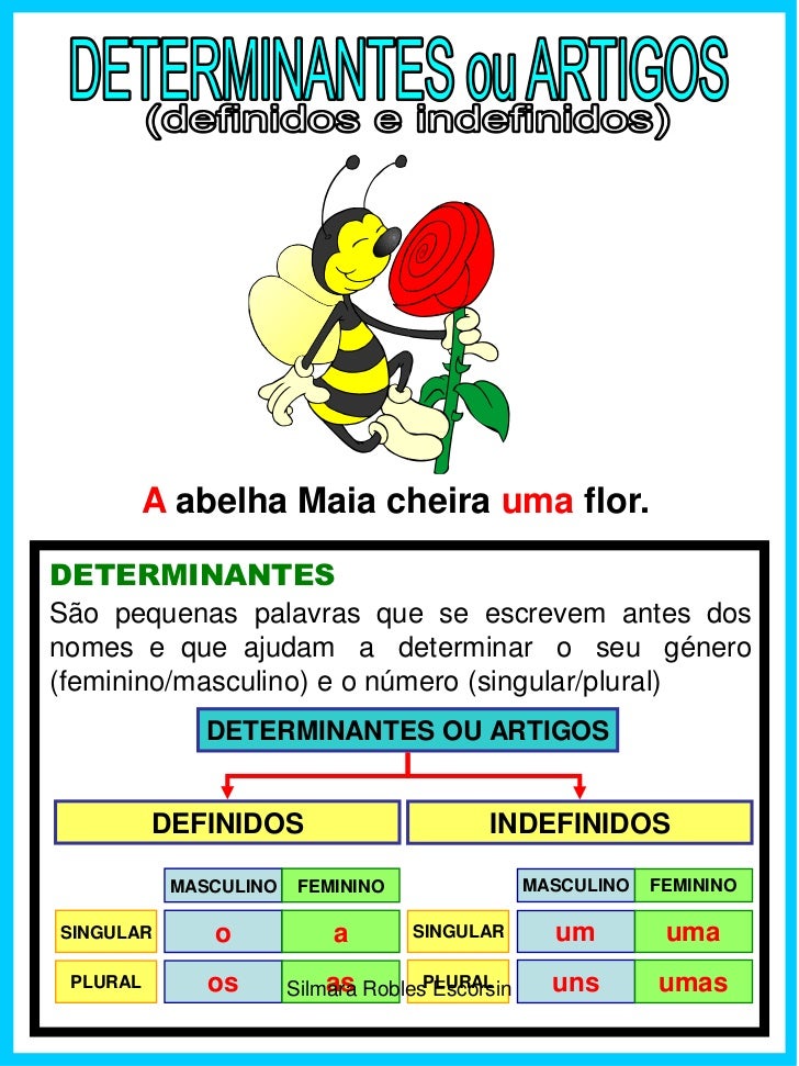 Frases com artigos definidos e indefinidos