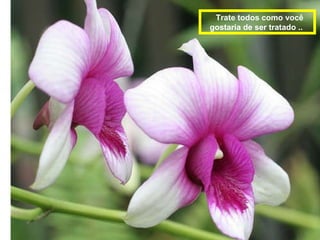 Trate todos como você gostaria de ser tratado ..  