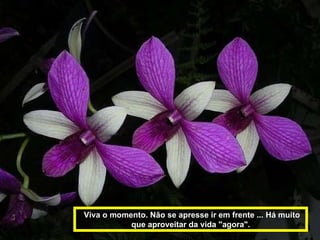 Viva o momento. Não se apresse ir em frente ... Há muito que aproveitar da vida "agora". 