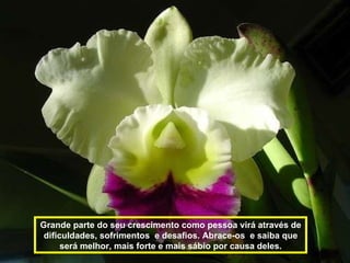 Grande parte do seu crescimento como pessoa virá através de dificuldades, sofrimentos  e desafios. Abrace-os  e saiba que será melhor, mais forte e mais sábio por causa deles. 
