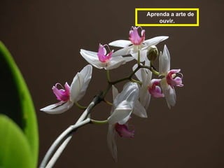 Aprenda a arte de ouvir . 