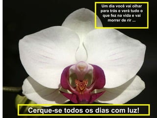 Um dia você vai olhar para trás e verá tudo o que fez na vida e vai morrer de rir ... Cerque-se todos os dias com luz! 