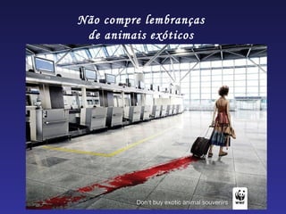 Não compre lembranças
 de animais exóticos
 