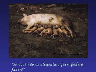 "Se você não os alimentar, quem poderá
fazer?"
 