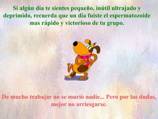 Si algún día te sientes pequeño, inútil ultrajado y
deprimido, recuerda que un día fuiste el espermatozoide
mas rápido y victorioso de tu grupo.
De mucho trabajar no se murió nadie... Pero por las dudas,
mejor no arriesgarse.
 