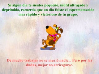 Si algún día te sientes pequeño, inútil ultrajado y
deprimido, recuerda que un día fuiste el espermatozoide
mas rápido y victorioso de tu grupo.
De mucho trabajar no se murió nadie... Pero por las
dudas, mejor no arriesgarse.
 