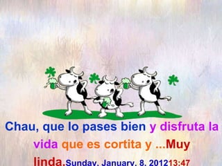 Chau, que lo pases bien y disfruta la
vida que es cortita y ...Muy
linda.Sunday, January, 8, 201213:47
 