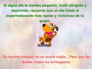 Si algún día te sientes pequeño, inútil ultrajado y
deprimido, recuerda que un día fuiste el
espermatozoide mas rápido y victorioso de tu
grupo.
De mucho trabajar no se murió nadie... Pero por las
dudas, mejor no arriesgarse.
 
