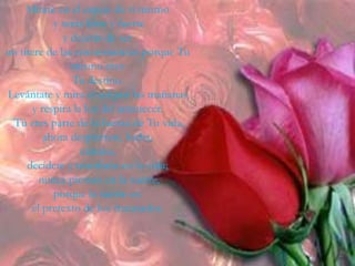 Mírate en el espejo de ti mismo
            y serás libre y fuerte
              y dejarás de ser
un títere de las circunstancias porque Tu
                mismo eres
                Tu destino.
Levántate y mira el sol por las mañanas
       y respira la luz del amanecer.
 Tú eres parte de la fuerza de Tu vida,
          ahora despiértate, lucha,
                   camina,
     decídete y triunfarás en la vida;
        nunca pienses en la suerte,
            porque la suerte es:
      el pretexto de los fracasados.
 