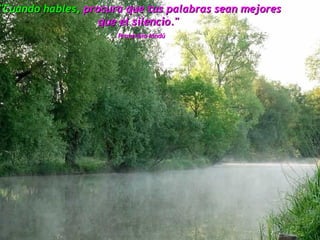 "Cuando hables,  procura que tus palabras sean mejores que el silencio."  Proverbio hindú   
