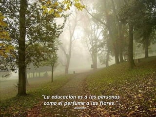 "La educación es a las personas  como el perfume a las flores."  Anónimo  