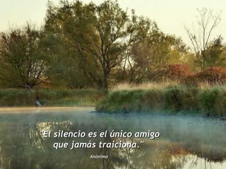 "El silencio es el único amigo  que jamás traiciona."  Anónimo   