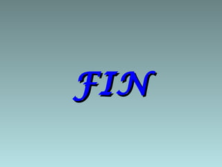 FIN
 