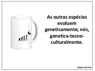 As outras espécies
evoluem
geneticamente; nós,
genetica-tecno-
culturalmente.
(nepo.com.br)
 