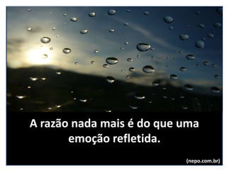 A razão nada mais é do que uma
emoção refletida.
(nepo.com.br)
 