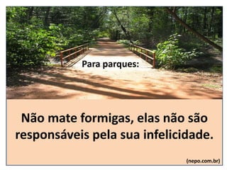 Não mate formigas, elas não são
responsáveis pela sua infelicidade.
(nepo.com.br)
Para parques:
 