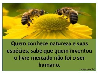 Quem conhece natureza e suas
espécies, sabe que quem inventou
o livre mercado não foi o ser
humano.
(nepo.com.br)
 