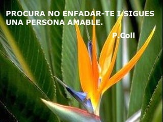 PROCURA NO ENFADAR-TE I SIGUES
UNA PERSONA AMABLE.
P.Coll
 