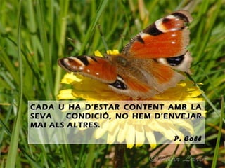CADA U HA D’ESTAR CONTENT AMB LACADA U HA D’ESTAR CONTENT AMB LA
SEVA CONDICIÓ, NO HEM D’ENVEJARSEVA CONDICIÓ, NO HEM D’ENVEJAR
MAI ALS ALTRES.MAI ALS ALTRES.
P. Coll
 