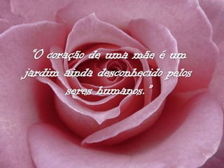 Frases para as mães