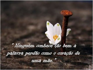Frases para as mães
