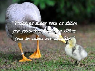 Frases para as mães