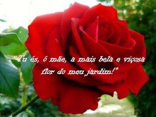 Frases para as mães