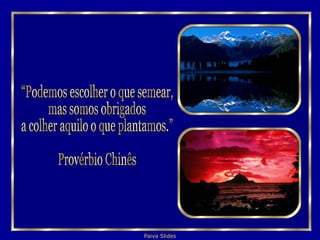 “Podemos escolher o que semear,  mas somos obrigados a colher aquilo o que plantamos.” Provérbio Chinês 