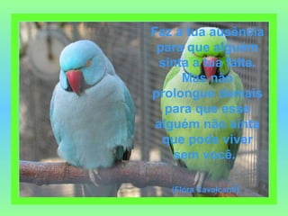 Faz a tua ausência para que alguém sinta a tua falta. Mas não prolongue demais para que esse alguém não sinta que pode viver sem você.   (Flóra Cavalcanti)   