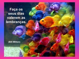 Faça os seus dias valerem as lembranças. (Bill Milton)  