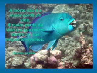 A morte não é a maior perda da vida. A maior perda da vida é o que morre dentro de nos enquanto vivemos.   (Norman Cuisins)   