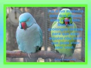 Faz a tua ausência para que alguém sinta a tua falta. Mas não prolongue demais para que esse alguém não sinta que pode viver sem você.   (Flóra Cavalcanti)   