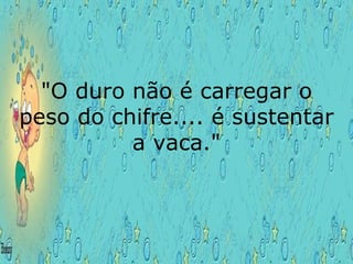 "O duro não é carregar o peso do chifre.... é sustentar a vaca." 