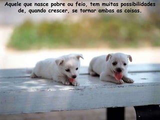 Aquele que nasce pobre ou feio, tem muitas possibilidades
     de, quando crescer, se tornar ambas as coisas.
 