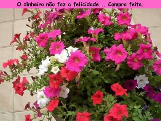 O dinheiro não faz a felicidade... Compra feita.
 