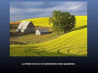 Lo triste no es ir al cementerio sino quedarse
 