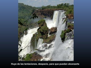 Huye de las tentaciones, despacio, para que puedan alcanzarte
 