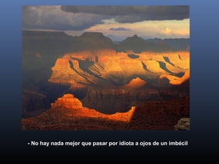 - No hay nada mejor que pasar por idiota a ojos de un imbécil
 