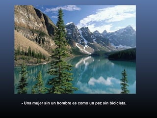 - Una mujer sin un hombre es como un pez sin bicicleta.
 
