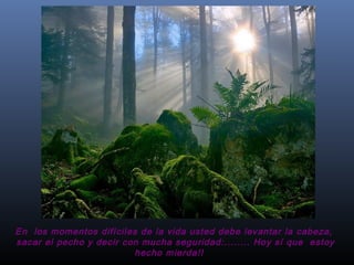 En  los momentos difíciles de la vida usted debe levantar la cabeza,
 sacar el pecho y decir con mucha seguridad:........ Hoy sí que  estoy
hecho mierda!!  
 