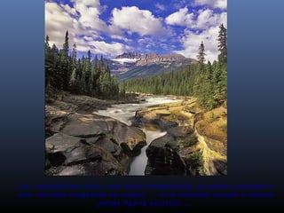 Las  semejanzas entre: una mujer embarazada, un pastel quemado y
una  cerveza congelada es simple... : si la hubieras sacado a tiempo
 jamás habría ocurrido.....
 