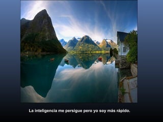 La inteligencia me persigue pero yo soy más rápido.
 