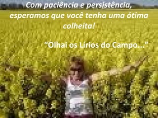 Com paciência e persistência,
esperamos que você tenha uma ótima
colheita!
“Olhai os Lírios do Campo...”
 