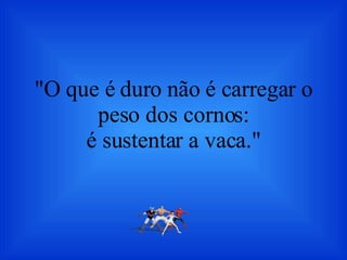 "O que é duro não é carregar o peso dos cornos: é sustentar a vaca." 
