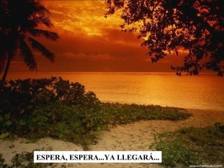 ESPERA, ESPERA...YA LLEGARÁ... 