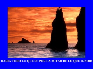 DARIA TODO LO QUE SE POR LA MITAD DE LO QUE IGNORO
 