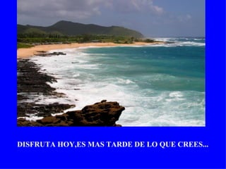 DISFRUTA HOY,ES MAS TARDE DE LO QUE CREES...
 