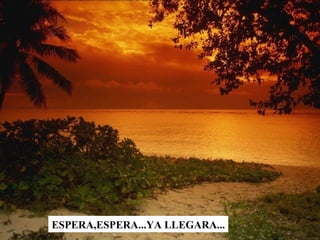 ESPERA,ESPERA...YA LLEGARA... 