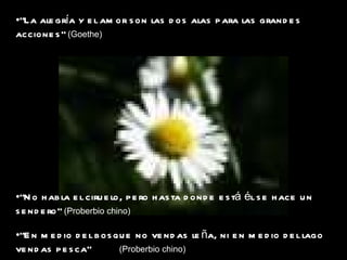 "La alegría y el amor son las dos alas para las grandes acciones"  (Goethe)  "No habla el ciruelo, pero hasta donde está él se hace un sendero"  (Proberbio chino) "En medio del bosque no vendas leña, ni en medio del lago vendas pesca“  (Proberbio chino) 