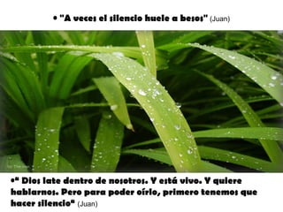 "A veces el silencio huele a besos"  (Juan) “  Dios late dentro de nosotros. Y está vivo. Y quiere hablarnos. Pero para poder oírlo, primero tenemos que hacer silencio“  (Juan) 